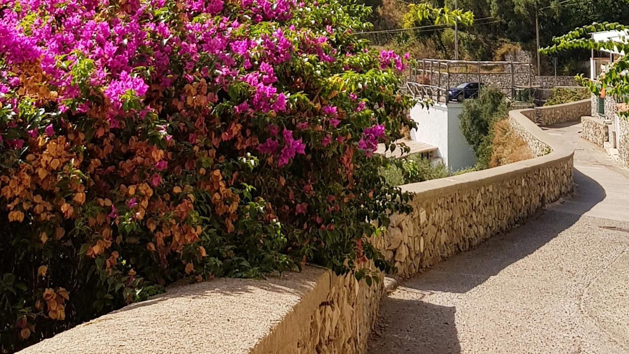 Al Poggio Antico Aparthotel Amalfi Buitenkant foto