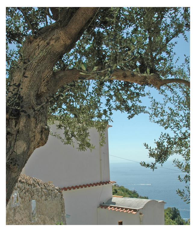 Al Poggio Antico Aparthotel Amalfi Buitenkant foto